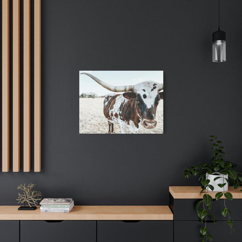 Charlotte The Longhorn Cow Horizontal Canvas