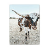 Charlotte Longhorn Cow Vertical Canvas