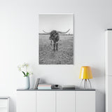 B&W Longhorn Bull Vertical Canvas