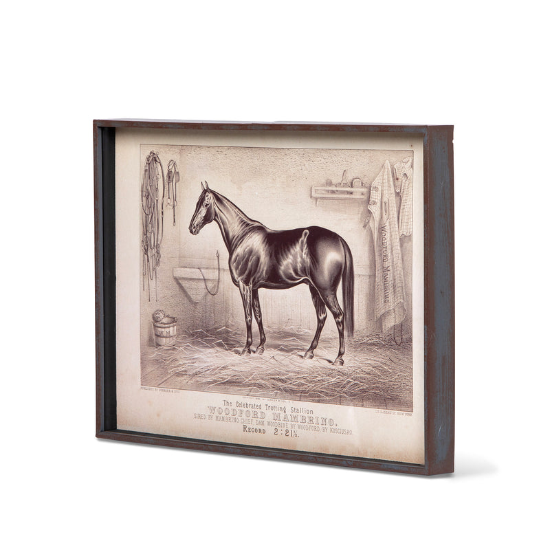 Prized Race Horse Framed Prints- Set of 6