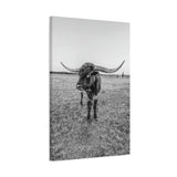 B&W Longhorn Bull Vertical Canvas